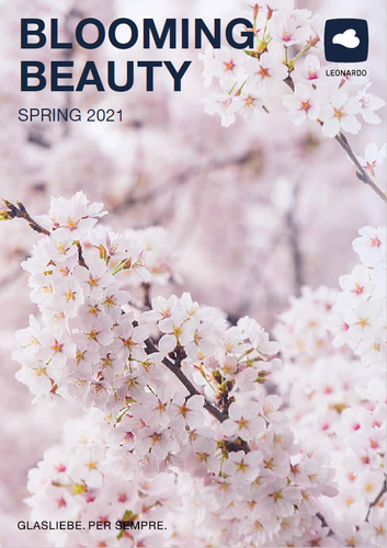 Blooming Beauty
